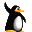 RABBITTALK CI DESSUS Pingouin